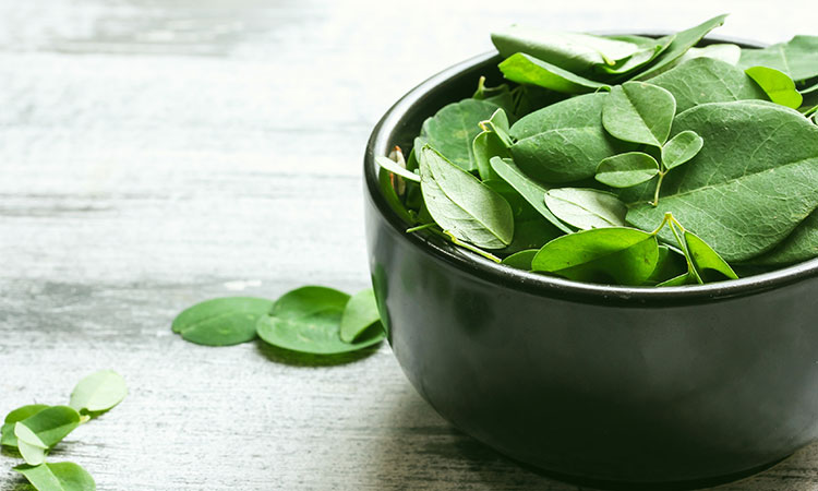 Benefits Of Moringa For Your Skin!
