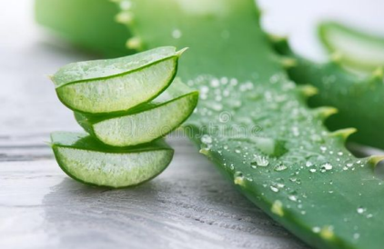 Aloe Vera is naturally works as moisturizer