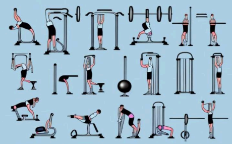 Circuit Training