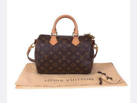 Louis Vuitton Speedy 