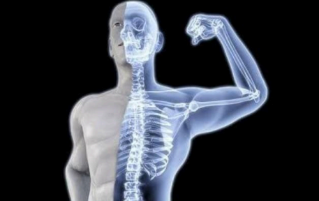 Boosted Bone Density and Muscle Tone