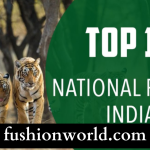 Top 10 National Parks of India