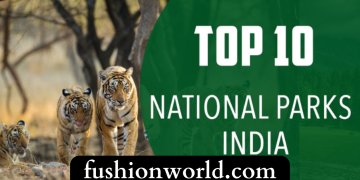 Top 10 National Parks of India