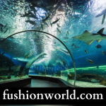 Top 10 Most Famous Aquariums in India