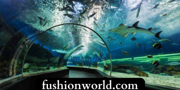 Top 10 Most Famous Aquariums in India