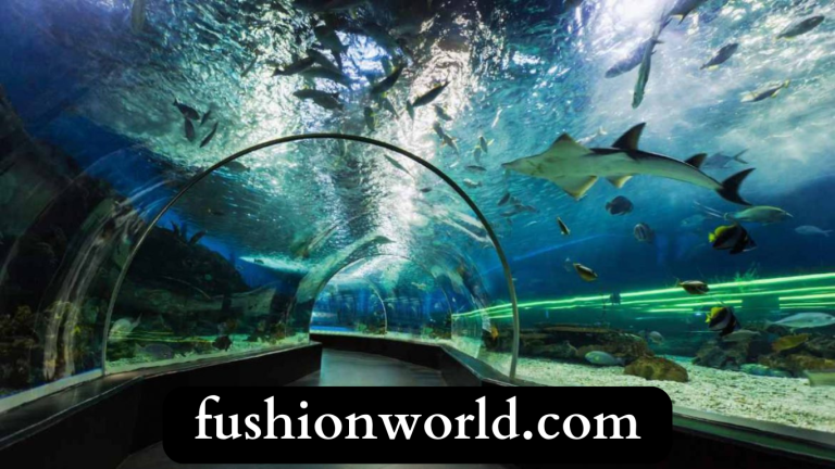 Top 10 Most Famous Aquariums in India