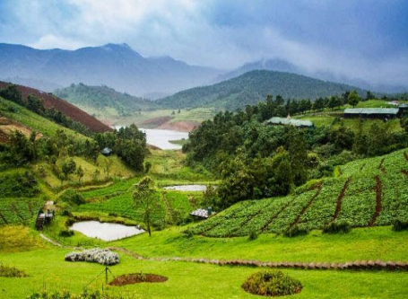 Queen of Hill Stations: Ooty 