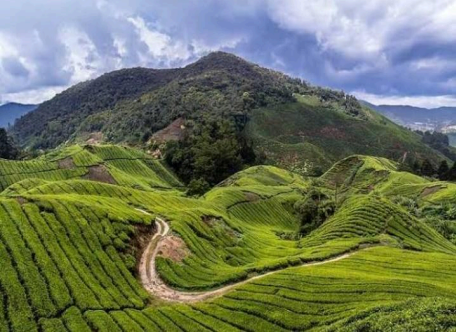 Benevolent Kodagu: Coorg 