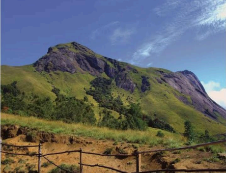 Wildlife Treasure: Anaimalai Hills 