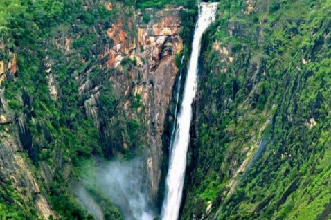 Palani Hills Supremacy: Thalaiyar Waterfalls