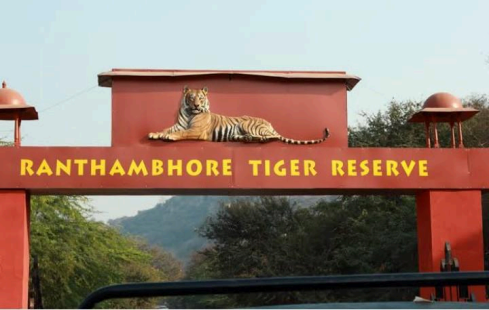 Ranthambore National Park, Rajasthan 