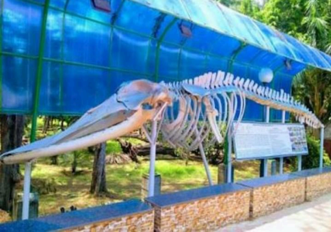 Marine Aquarium & Regional Centre, Digha, West Bengal 