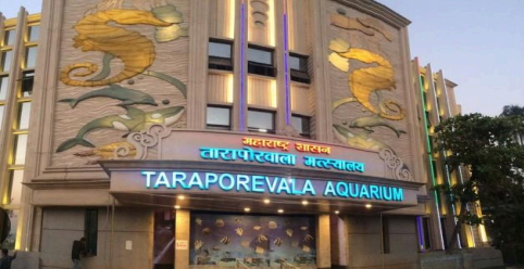 Taraporewala Aquarium, Mumbai 