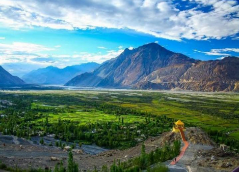 Valley of Flowers: Nubra Valley 