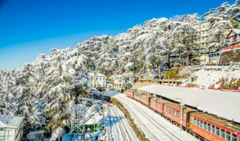 The Queen : Shimla 