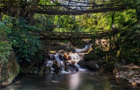 Double Decker Living Root Bridge 