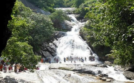 Monkey Falls, Near Aliyar Dam