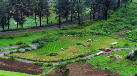 From Skyscrapers to Peaceful Town: Journey from Bangalore to Ooty 