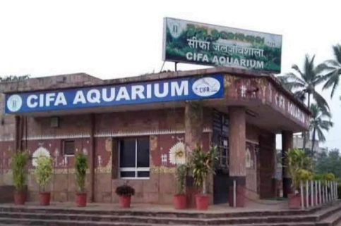 CIFA Aquarium, Uttara