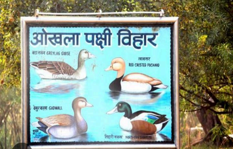 Okhla Bird Sanctuary, Noida