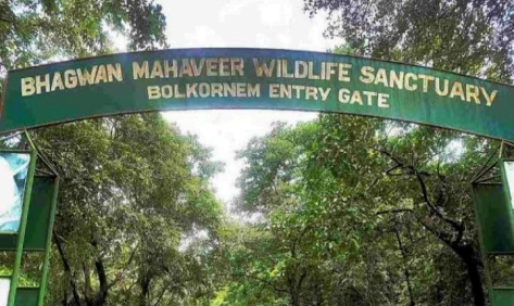  Bhagwan Mahavir Wildlife Sanctuary, Mollem