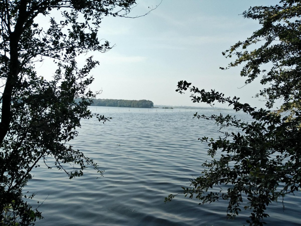 Okhla Bird Sanctuary, Noida