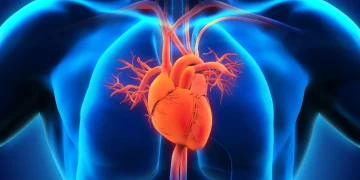 Heart Disease: A Closer Look With A Cardiologist