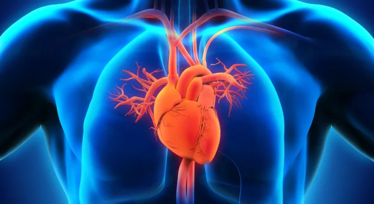 Heart Disease: A Closer Look With A Cardiologist