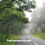 A Road Trip From Bangalore to Wayanad 