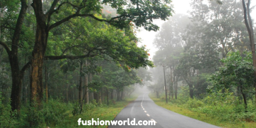 A Road Trip From Bangalore to Wayanad 