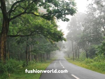 A Road Trip From Bangalore to Wayanad 