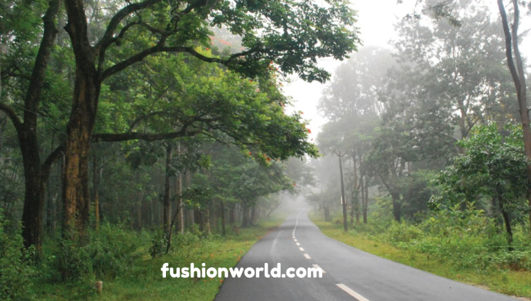 A Road Trip From Bangalore to Wayanad 