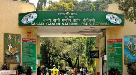  Sanjay Gandhi National Park