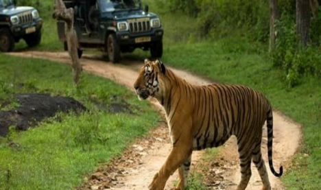 Bandipur National Park