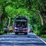 Mysore to Coorg Road Distance