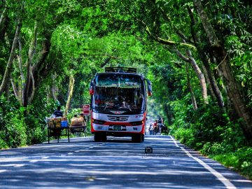 Mysore to Coorg Road Distance